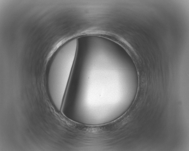 X0000080151461200612081040
