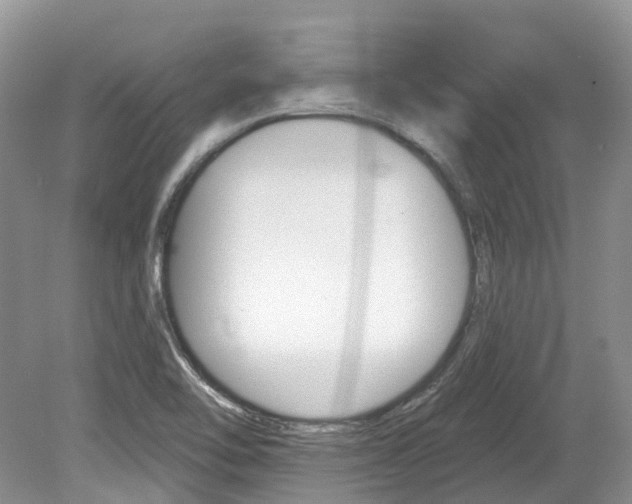 X0000080151462200612081040
