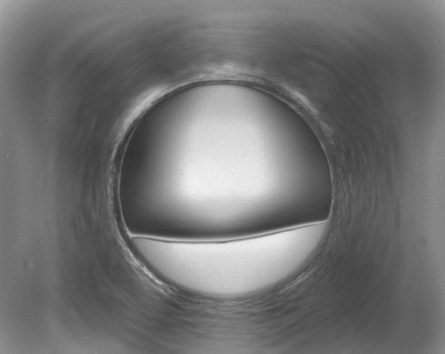 X0000080151463200612081040