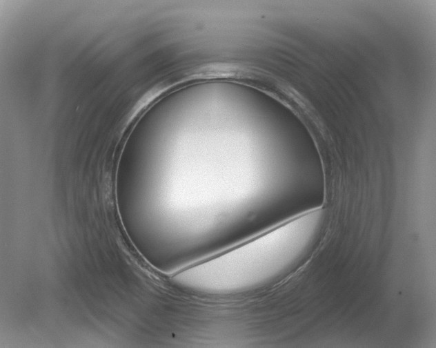 X0000080151465200612081040