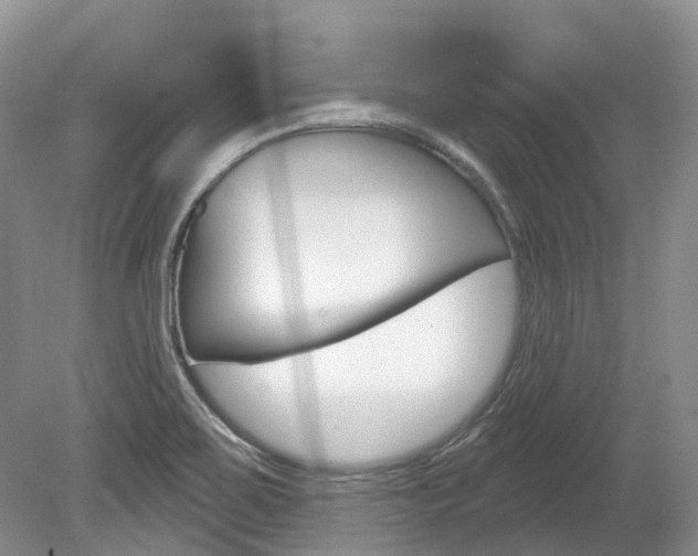 X0000080151467200612081040