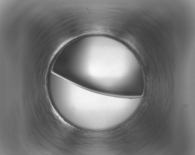 X0000080151468200612081040