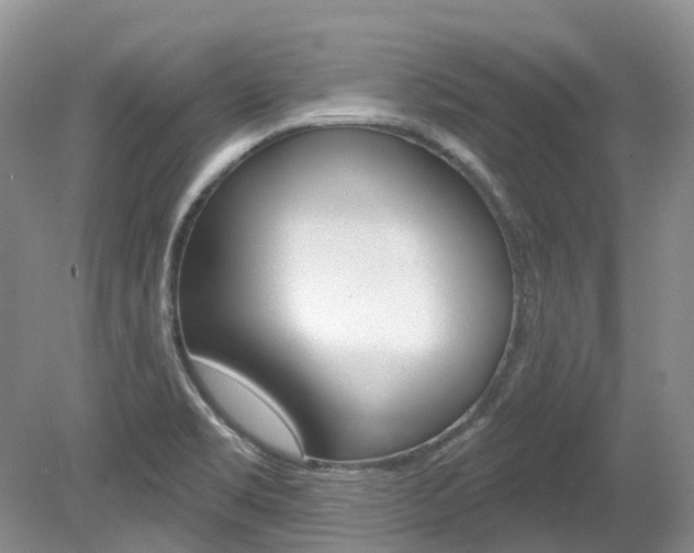 X0000080151469200612081039