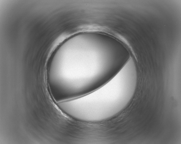 X0000080151472200612081039