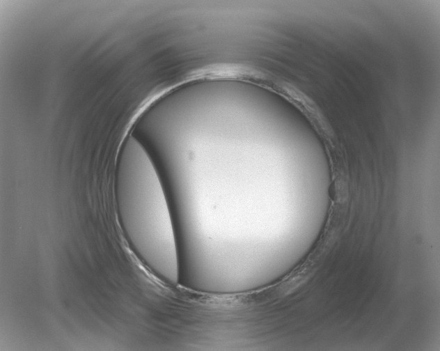 X0000080151473200612081039