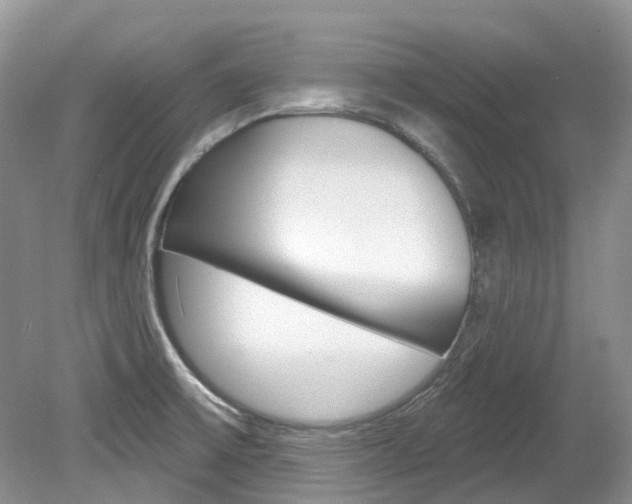 X0000080151475200612081039