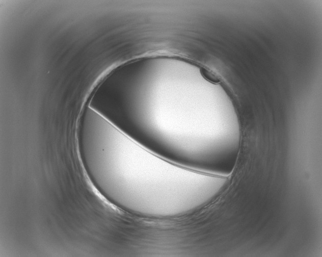 X0000080151476200612081039