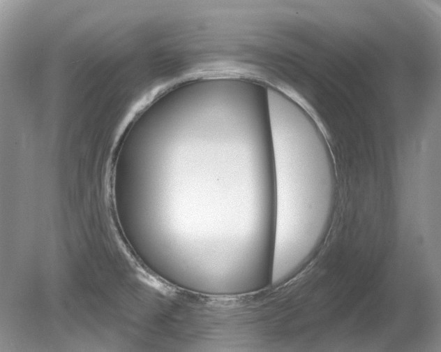 X0000080151477200612081039