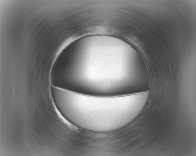 X0000080151479200612081039