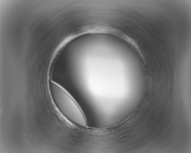 X0000080151480200612081039