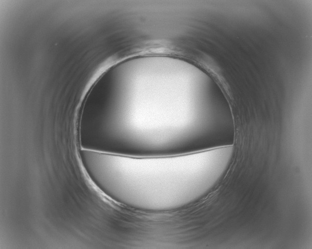 X0000080151483200612081039