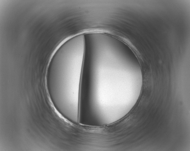 X0000080151484200612081039