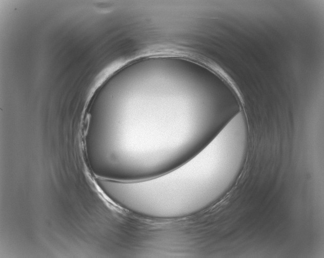 X0000080151485200612081039