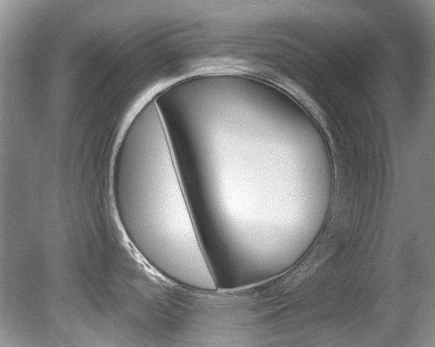 X0000080151488200612081039