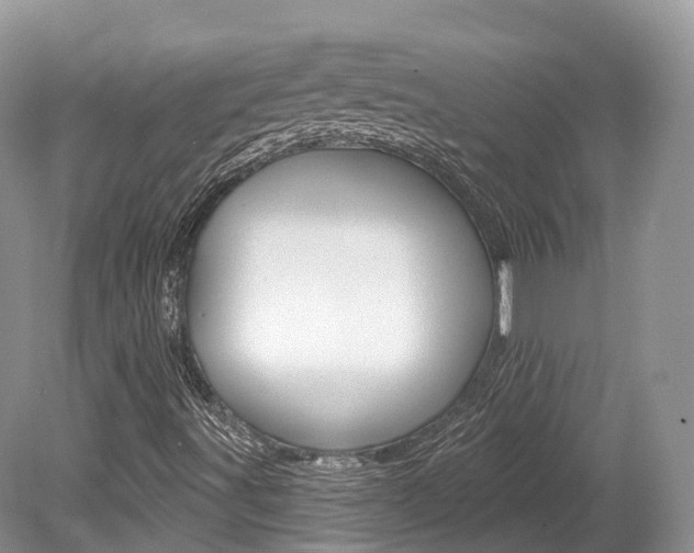 X0000080151491200612081038