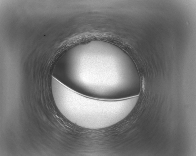 X0000080151492200612081038
