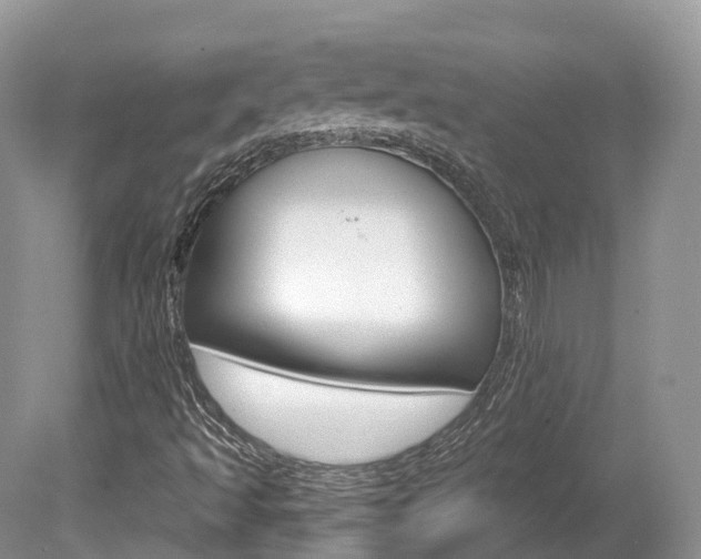 X0000080151493200612081038
