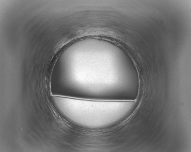 X0000080151497200612081038