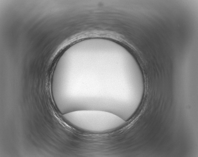 X0000080151498200612081039