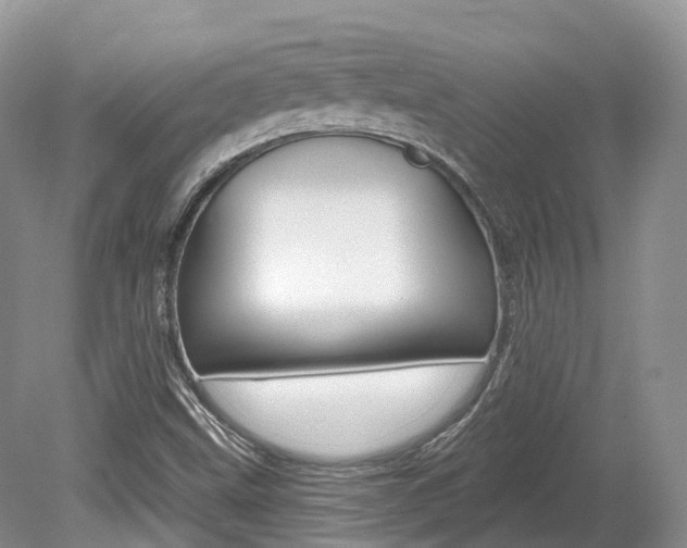 X0000080151499200612081039