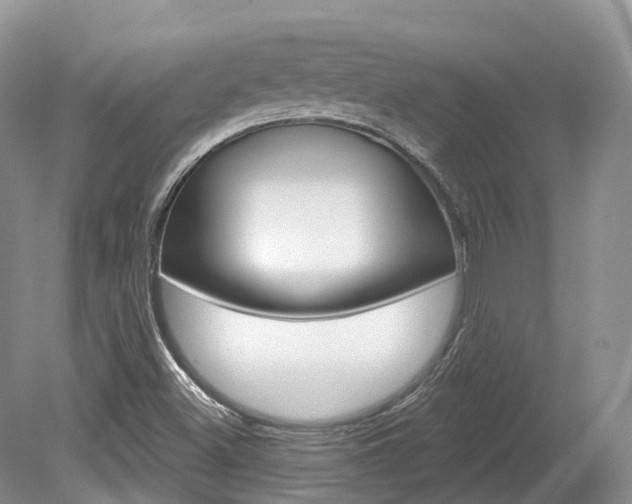 X0000080151500200612081039