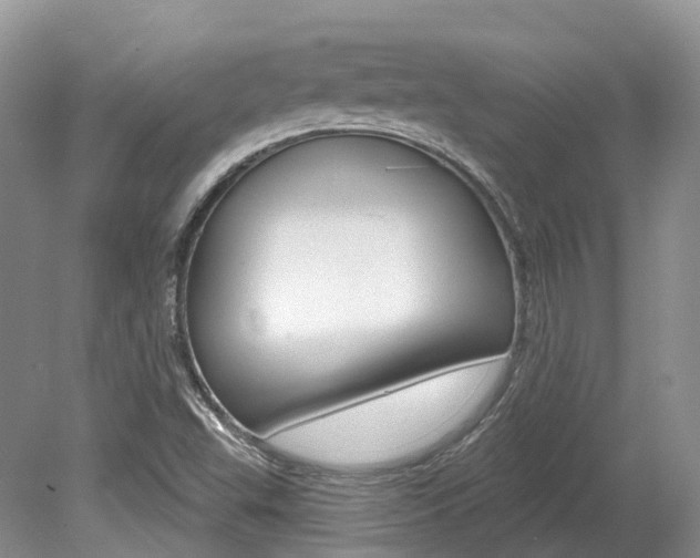 X0000080151503200612081039