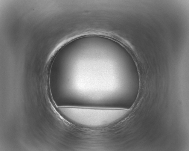 X0000080151504200612081039