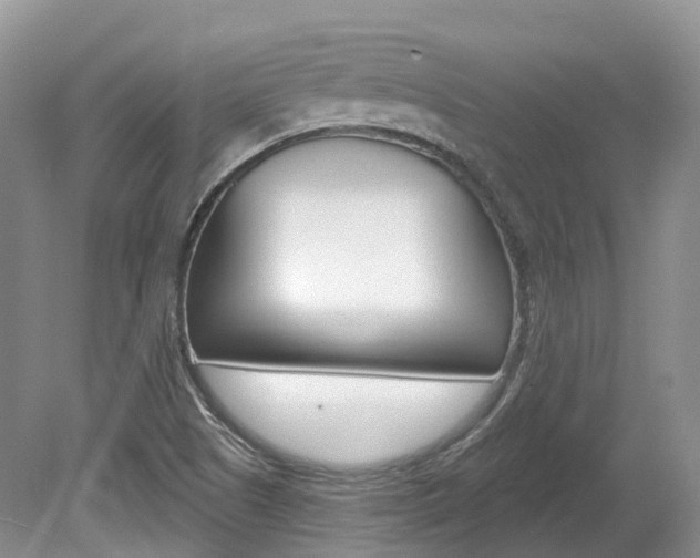X0000080151505200612081039