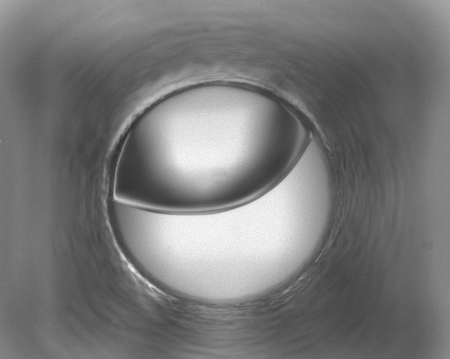X0000080151508200612081039