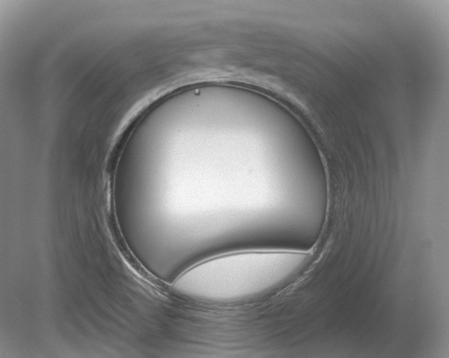 X0000080151509200612081039