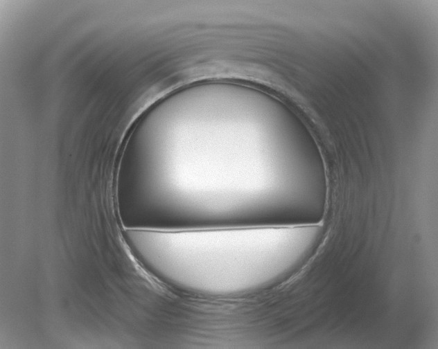 X0000080151513200612081039