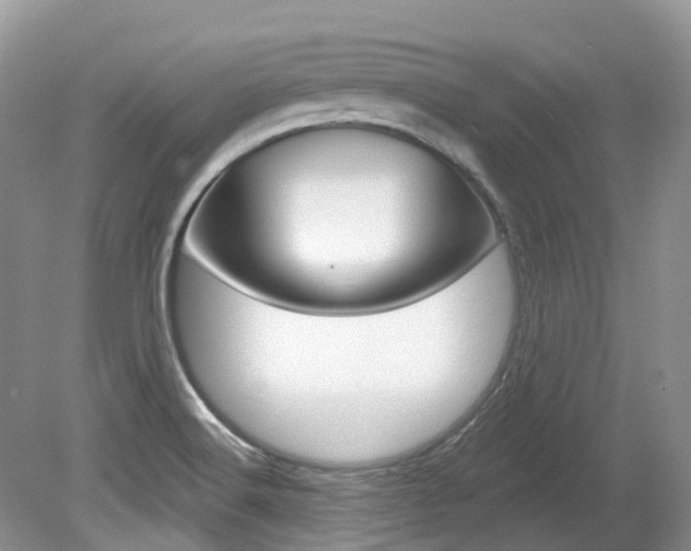 X0000080151516200612081039