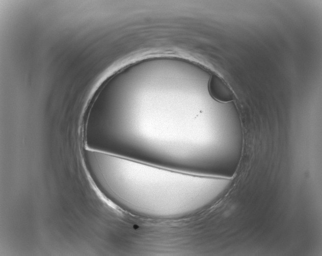 X0000080151519200612081039