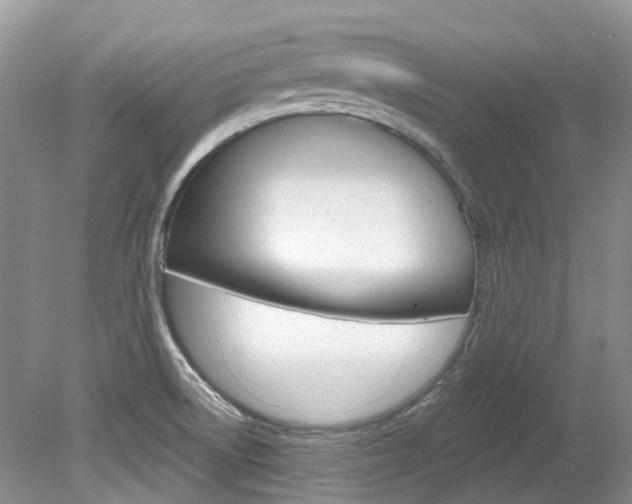 X0000080151522200612081039