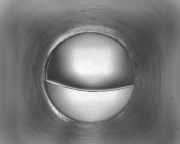 X0000080151523200612081039