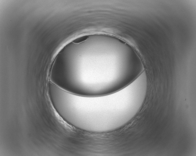 X0000080151524200612081039
