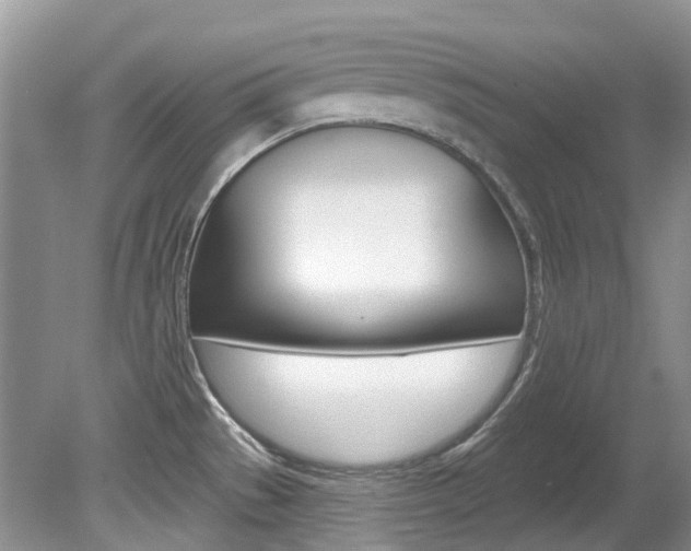 X0000080151529200612081039