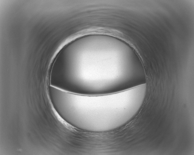 X0000080151531200612081039