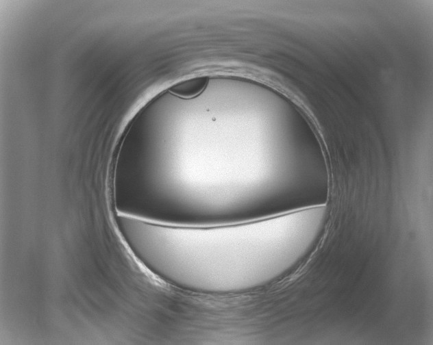 X0000080151533200612081039