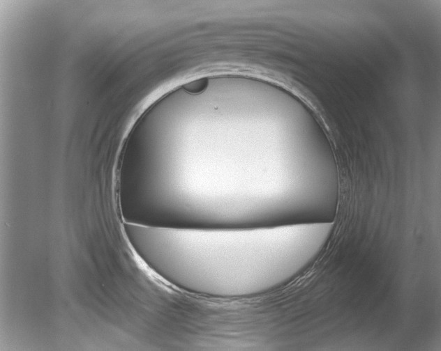 X0000080151535200612081039