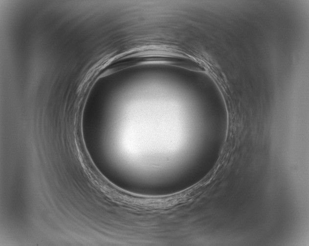 X0000080150001200612081334