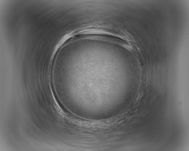X0000080150003200612081334