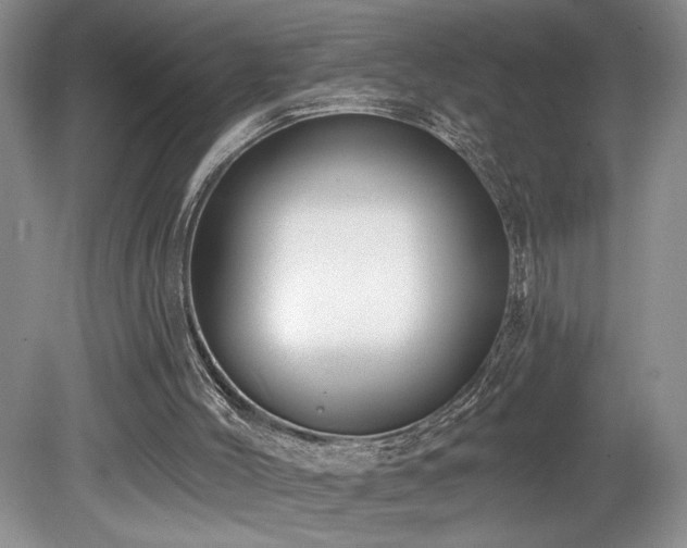 X0000080150004200612081334