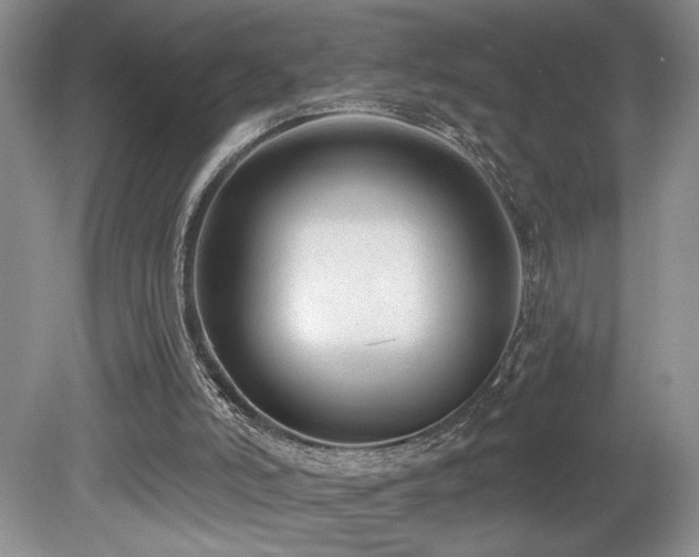 X0000080150006200612081334