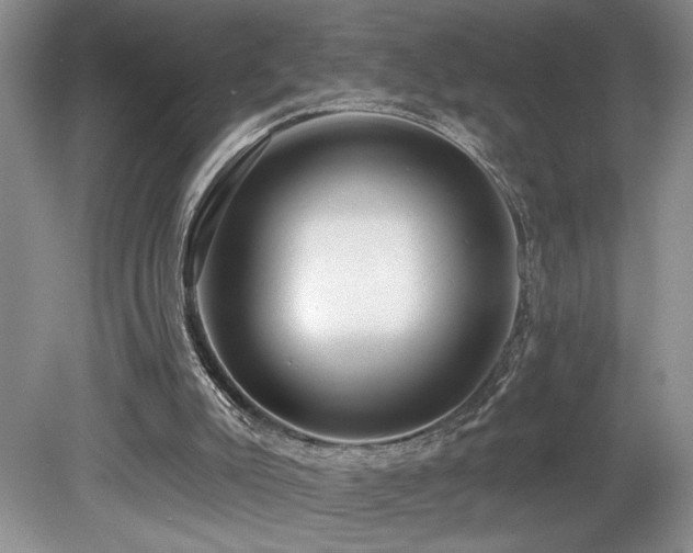 X0000080150007200612081334