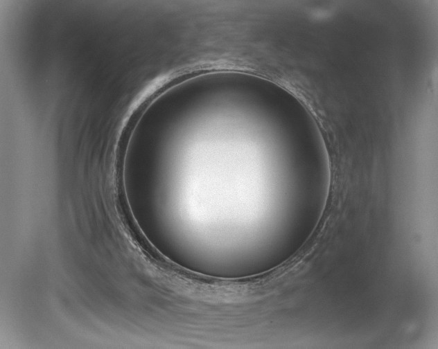X0000080150008200612081334