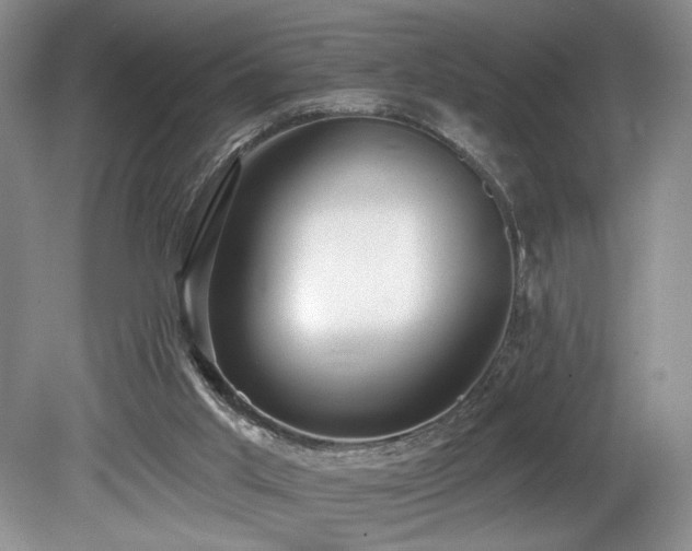 X0000080150013200612081333