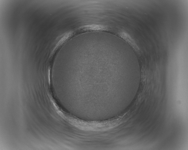 X0000080150014200612081333