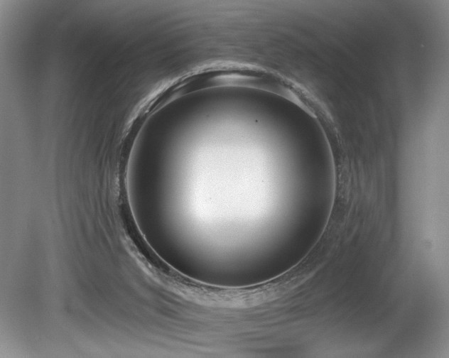 X0000080150015200612081333