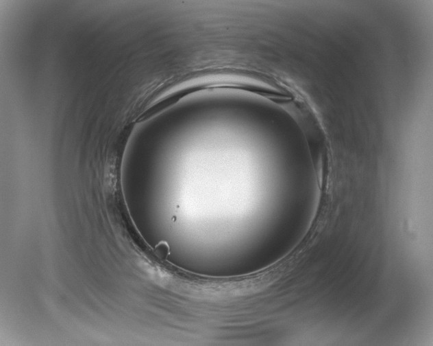 X0000080150017200612081333